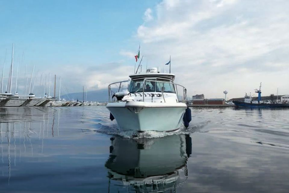 Pursuit 3100 Offshore