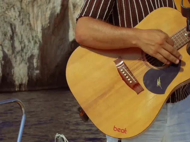 Musicista privato a bordo